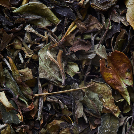 BAI MU DAN λευκό τσάι - 50 γρ