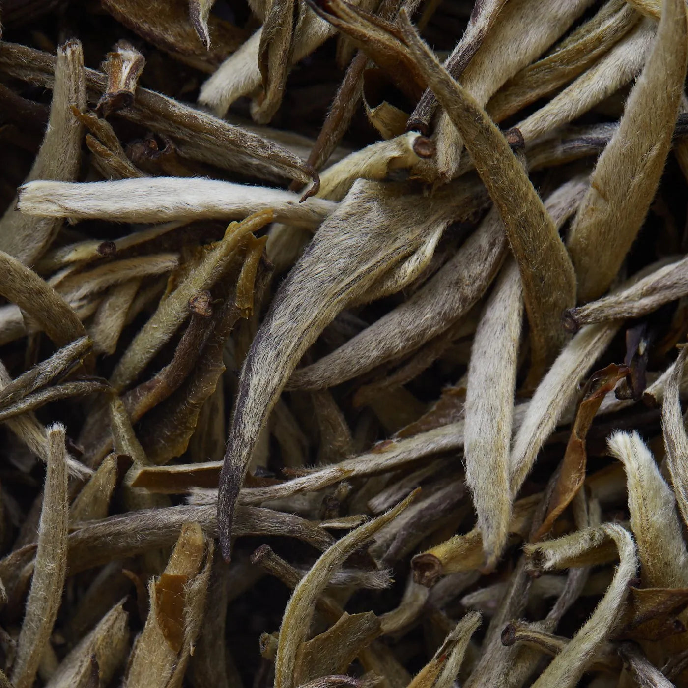 JASMIN IMPERIAL λευκό τσάι - 50 γρ