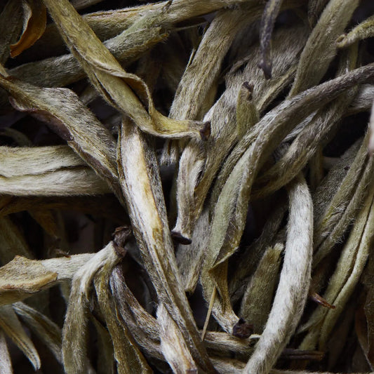 YUNNAN YIN ZHEN λευκό τσάι - 50 γρ